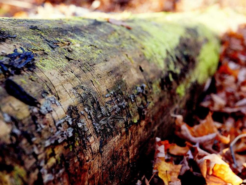 sudoku grid completion screenshot 5