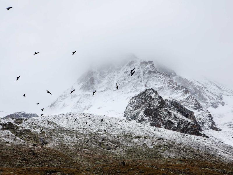 sudoku grid completion screenshot 4